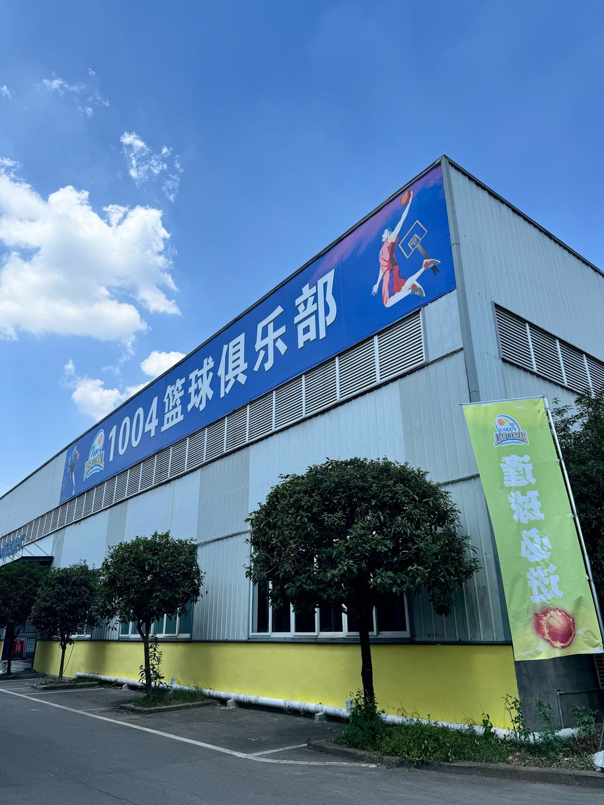 如何利用数据分析优化大前锋的训练效果?_1